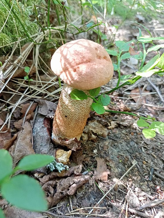 Фото из отзыва от 24.07.2025