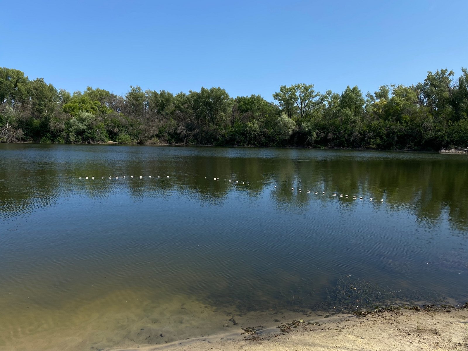Фото 10 из отзыва о базе отдыха Дружба