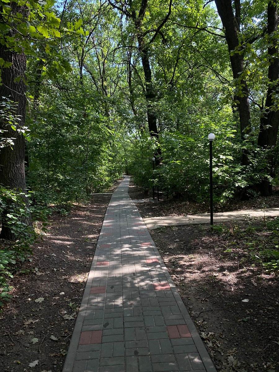 Фото 11 из отзыва о базе отдыха Дружба