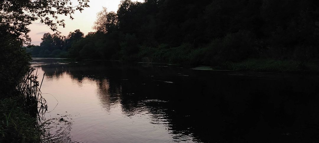 Фото 5 из отзыва о центре отдыха Ангел