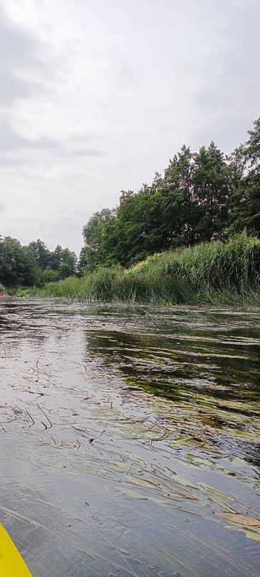 Фото 2 из отзыва о центре отдыха Ангел