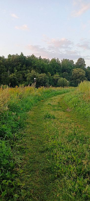 Фото 1 из отзыва о центре отдыха Ангел