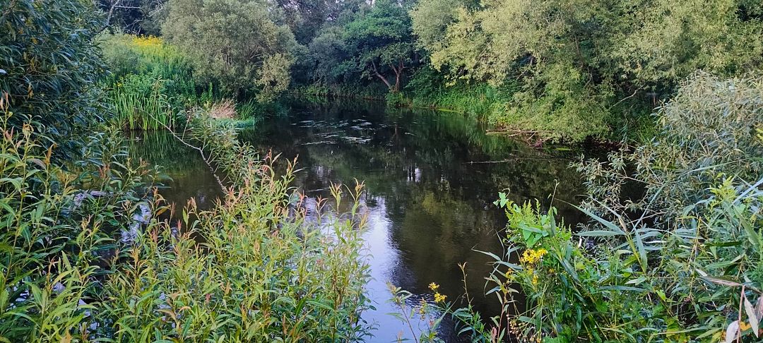 Фото 4 из отзыва о центре отдыха Ангел