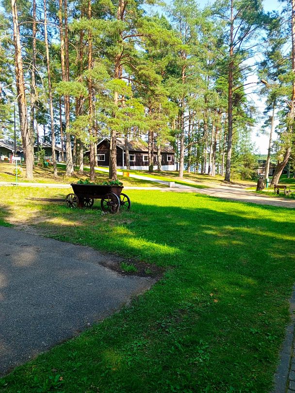 Фото 1 из отзыва о центре активного отдыха Лукоморье