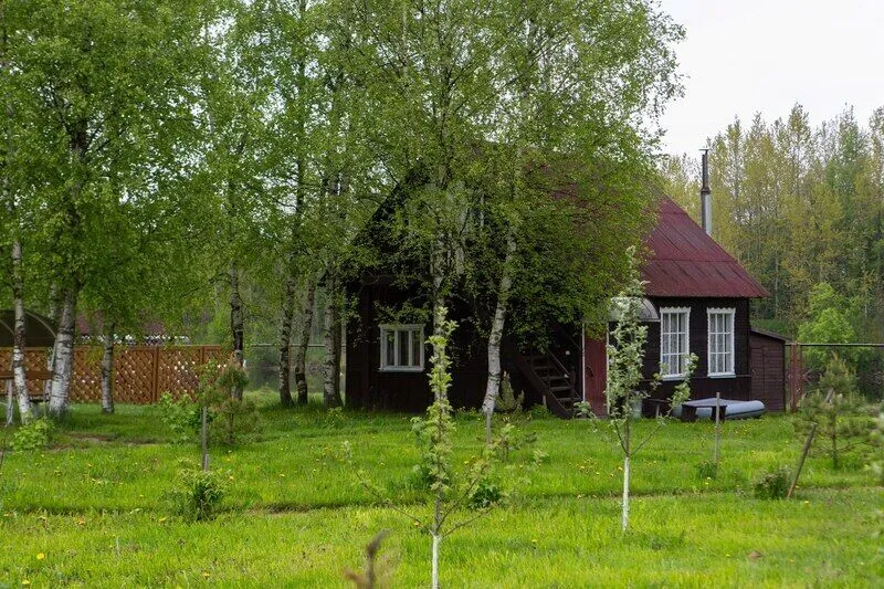 Деревня Назия, Ленинградская область: фото 5