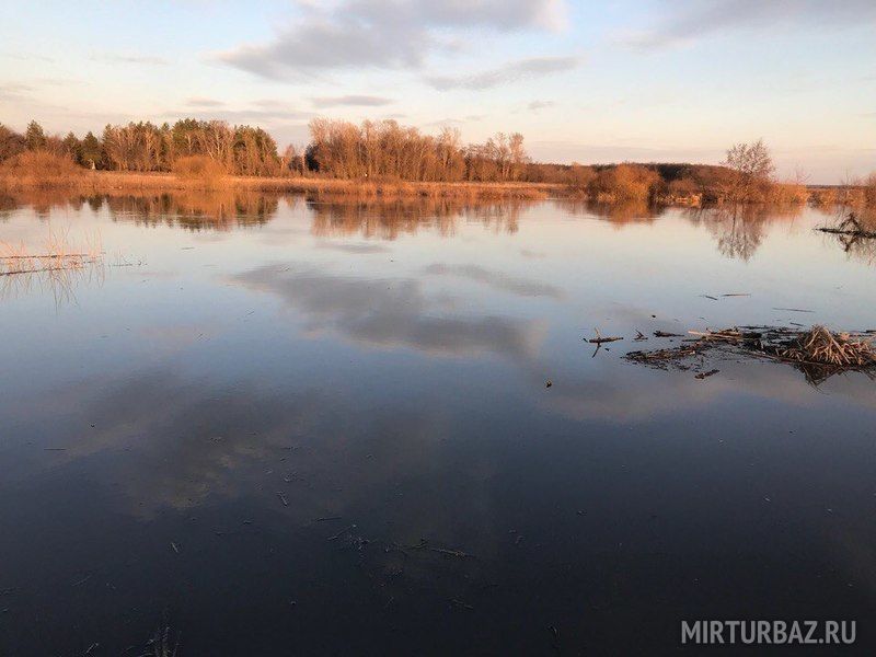 Солнечный борисоглебск загородный комплекс фото