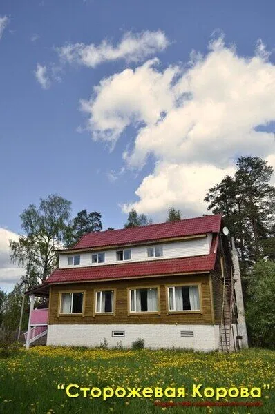 Сторожевая корова, Ленинградская область: фото 4