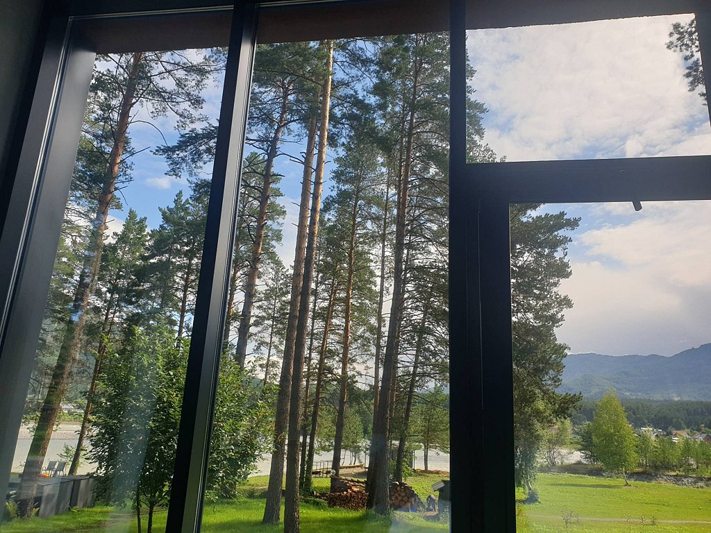 Фото из отзыва от 04.08.2025