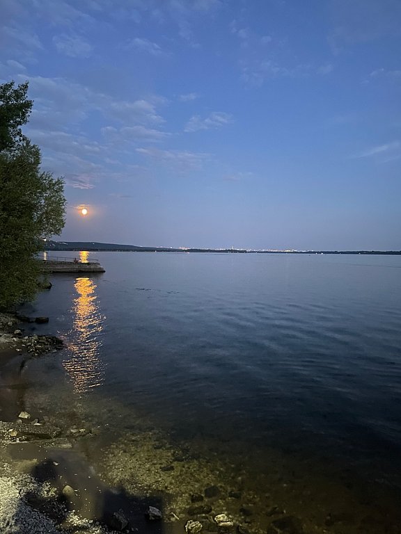 Фото из отзыва от 04.08.2025