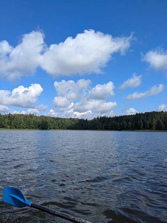 Фото из отзыва от 03.08.2025