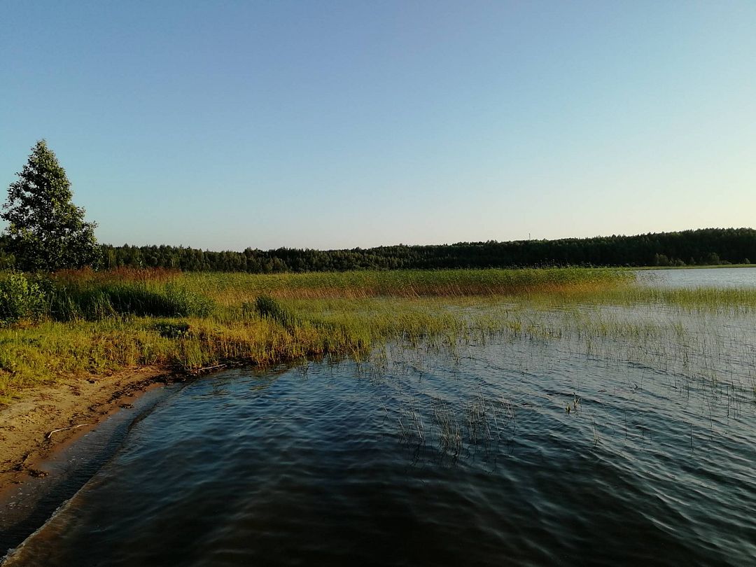 Фото 2 из отзыва о загородном клубе Авиаретро