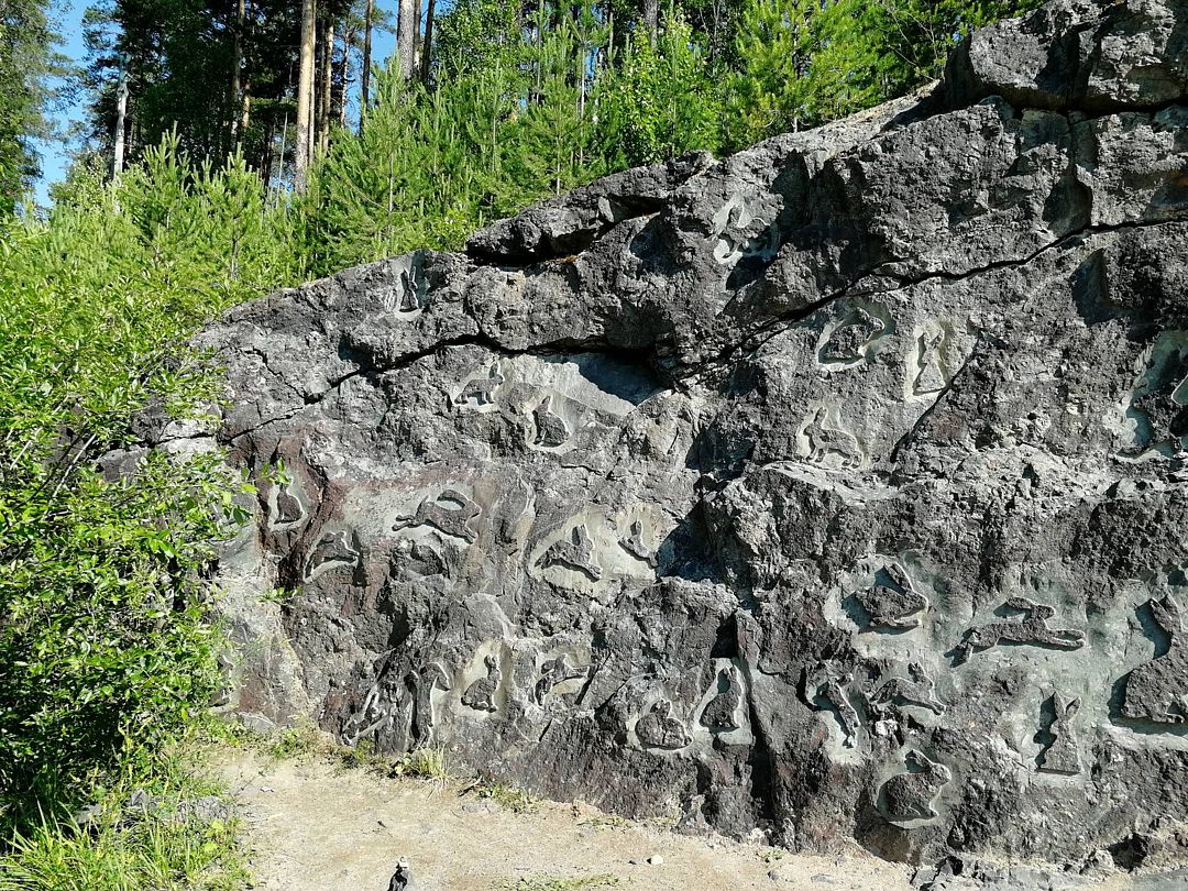Фото 10 из отзыва о загородном клубе Авиаретро
