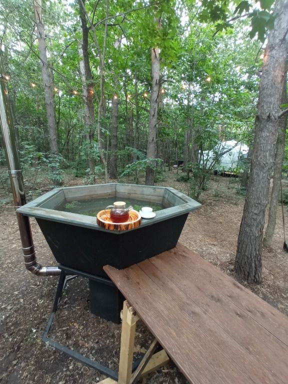 Сосновка, Республика Башкортостан: фото 4