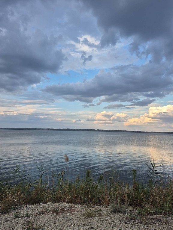 Фото из отзыва от 10.08.2025