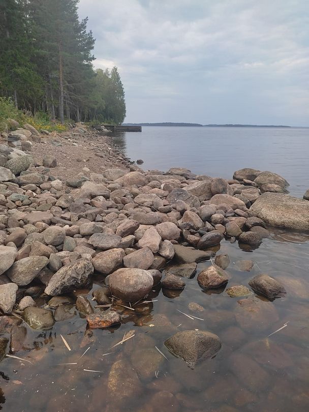 Фото 2 из отзыва о базе отдыха ALDI-Karelia