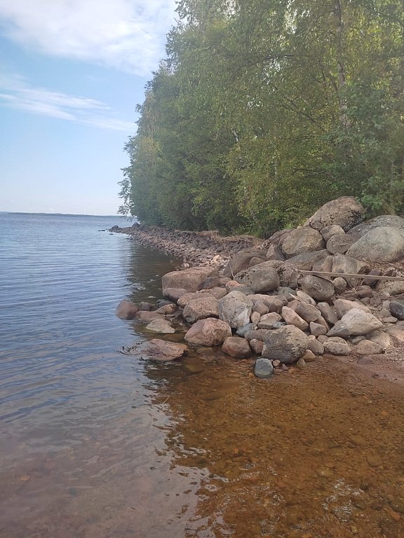 Фото из отзыва от 01.08.2025