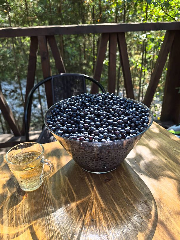 Фото 5 из отзыва о базе отдыха ALDI-Karelia