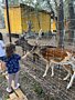 Фото 47 из отзыва о базе отдыха Донская Миля