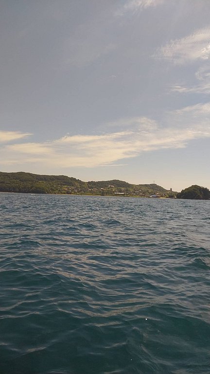 Фото из отзыва от 06.08.2025