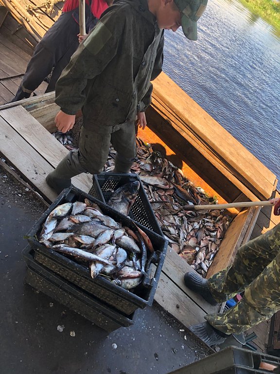 Фото из отзыва от 12.08.2025