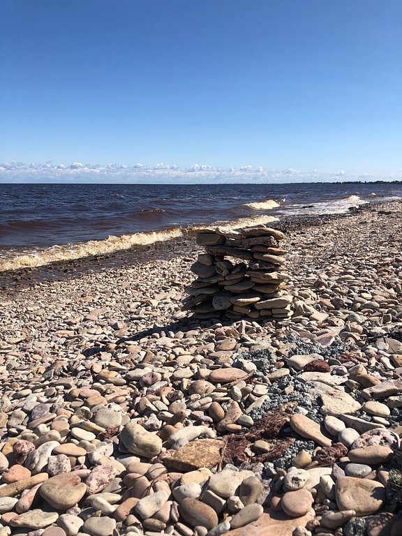 Фото из отзыва от 12.08.2025