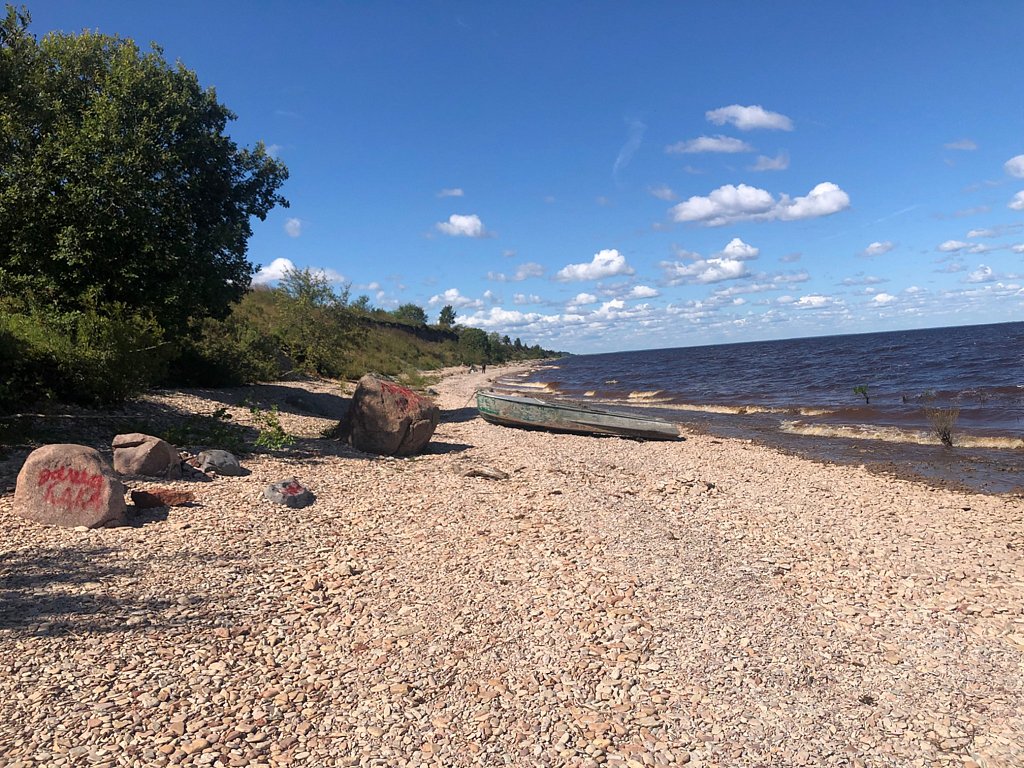 Фото из отзыва от 12.08.2025