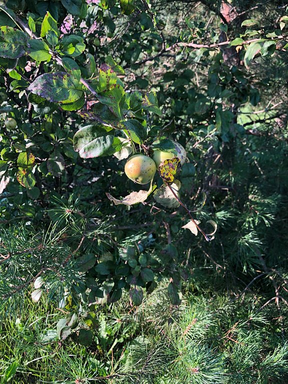 Фото из отзыва от 12.08.2025