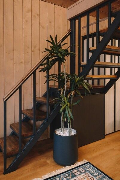 Барн 4-местный (№6)