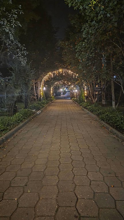 Фото из отзыва от 16.08.2025