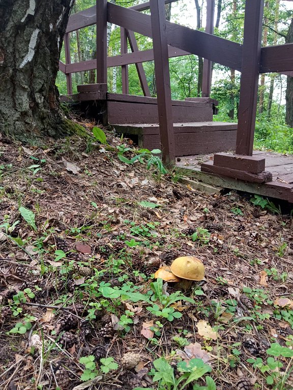 Фото из отзыва от 04.08.2025