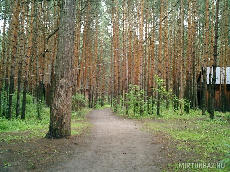 Муранка самарская область фото