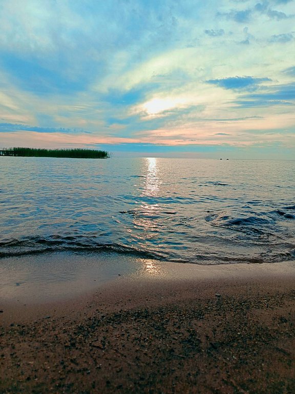 Фото из отзыва от 04.08.2025