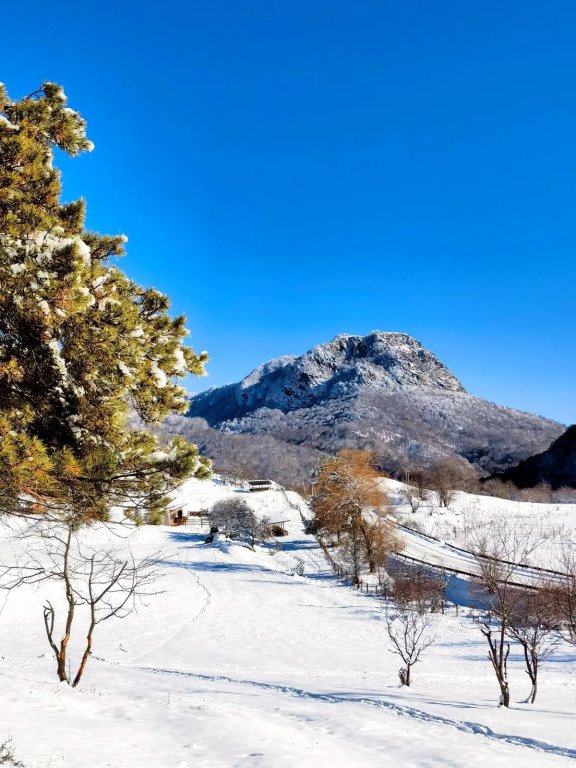 Гостевой дом Aydin El, Республика Карачаево-Черкесия: фото 2