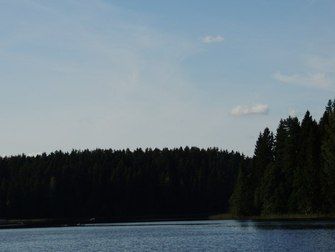Берендеево царство