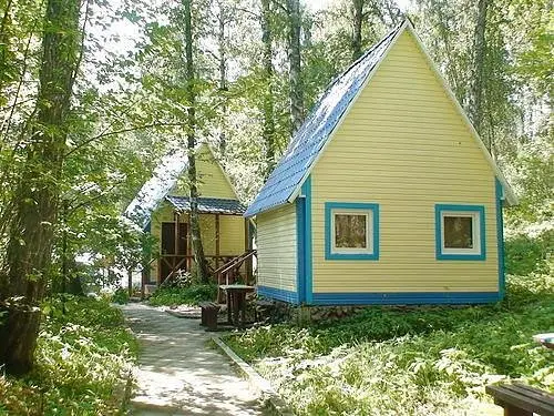 Домики | Русич, Алтайский край