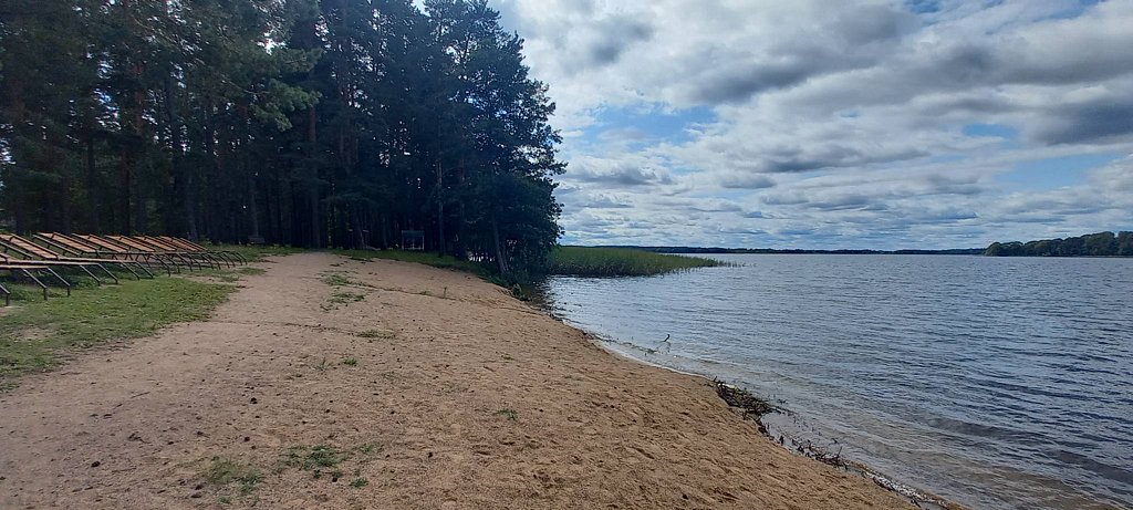 Фото из отзыва от 19.08.2025