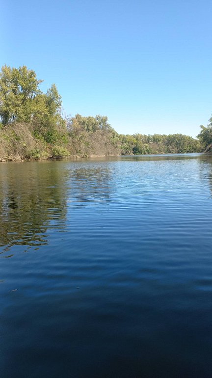 Фото из отзыва от 22.08.2025