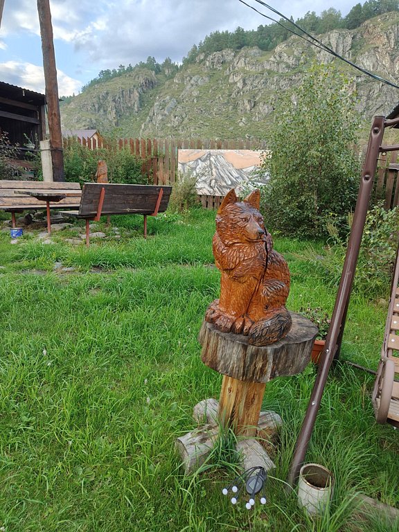 Фото из отзыва от 07.08.2025