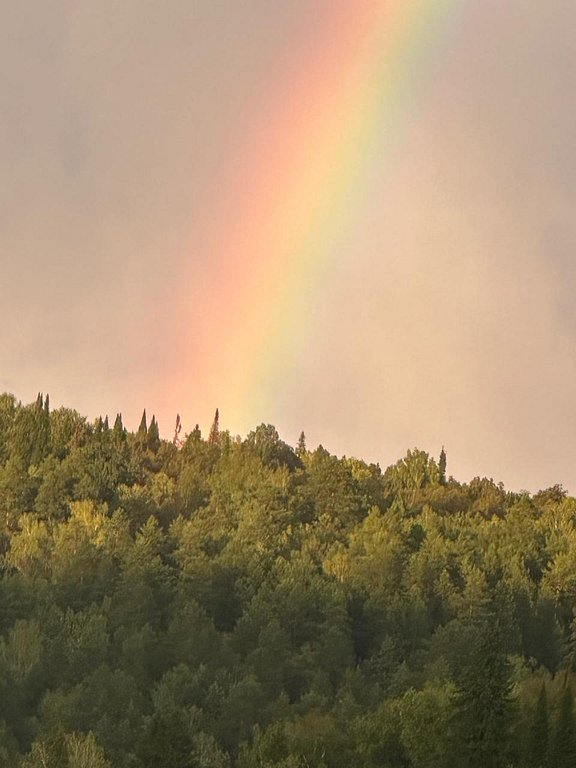 Фото из отзыва от 19.08.2025