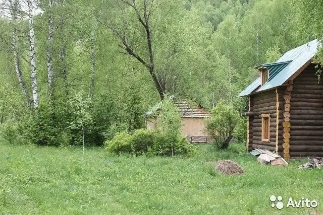 Заимка Уйская, Республика Хакасия: фото 3