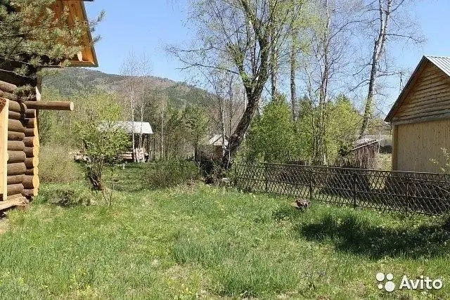 Заимка Уйская, Республика Хакасия: фото 4