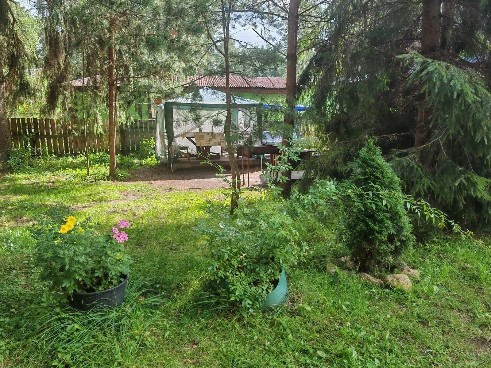 Дом на Селигере у озера, Тверская область: фото 2