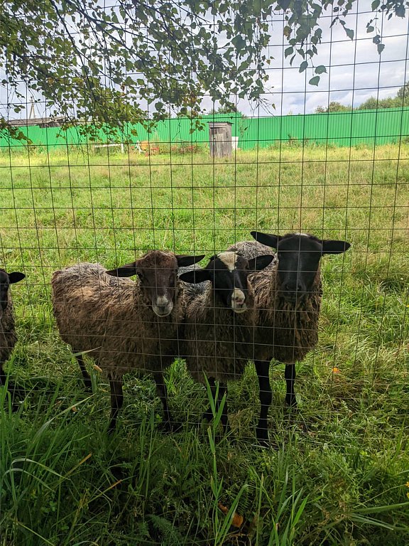 Фото из отзыва от 20.08.2025