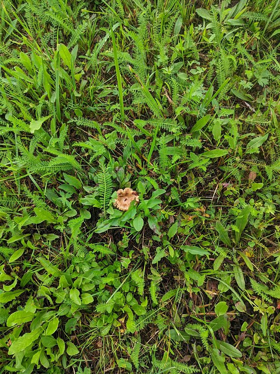 Фото из отзыва от 20.08.2025