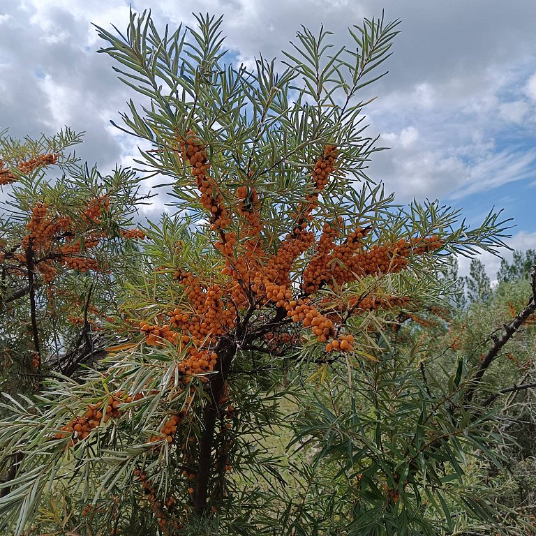 Фото из отзыва от 18.08.2025