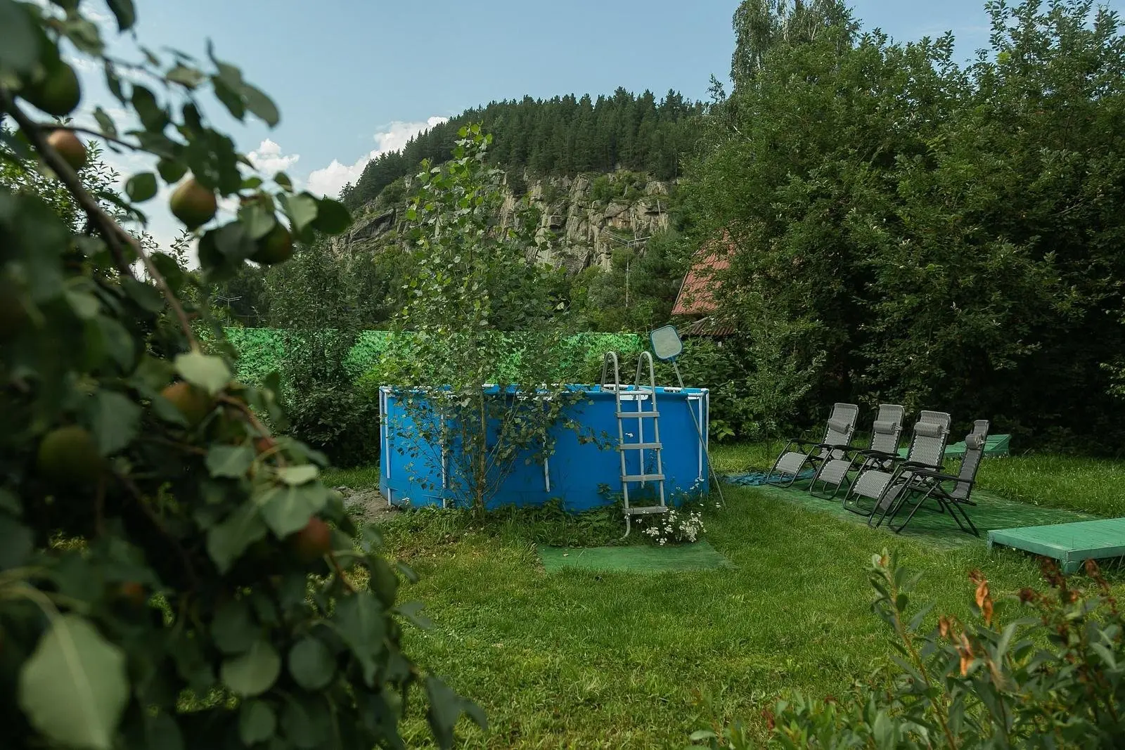 Орешек, Горный Алтай (Республика Алтай): фото 5
