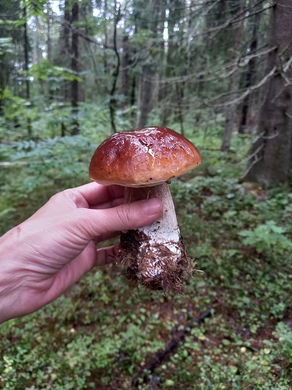 Фото из отзыва от 21.08.2025