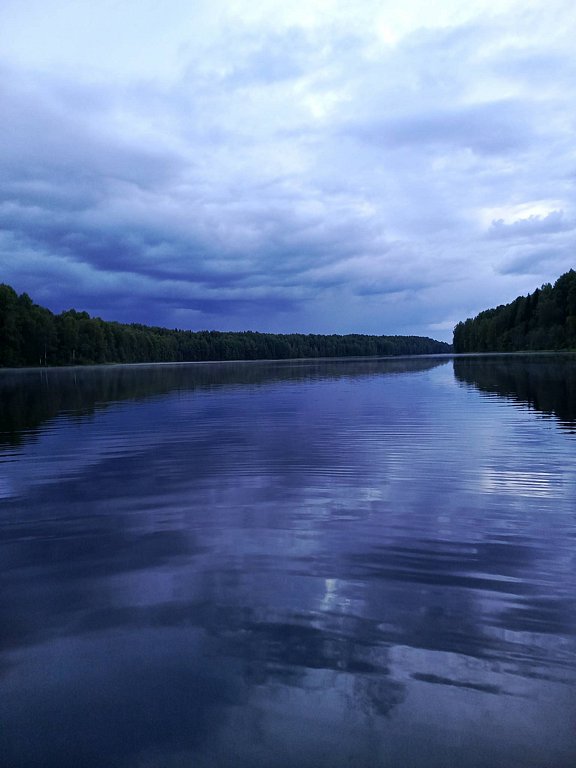 Фото из отзыва от 21.08.2025