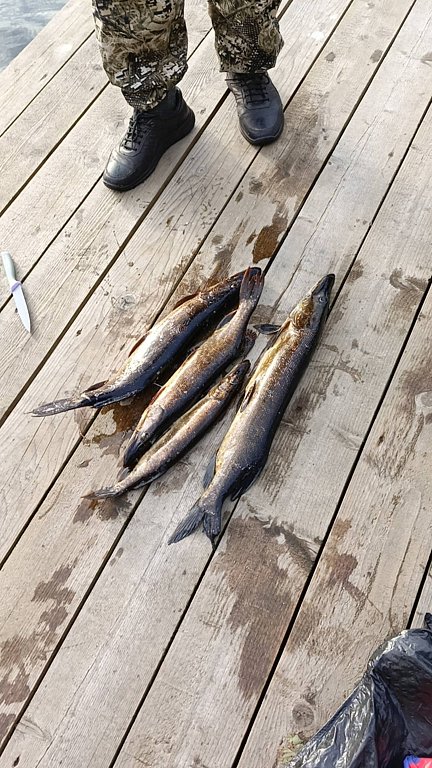 Фото из отзыва от 21.08.2025