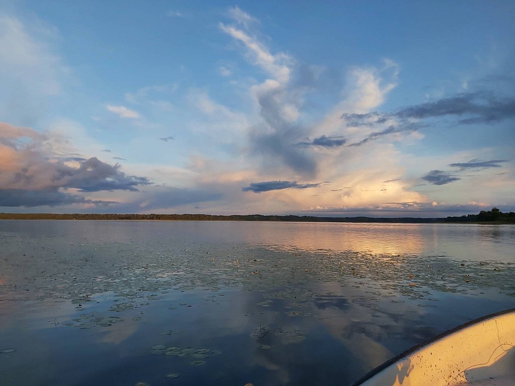 Фото из отзыва от 21.08.2025